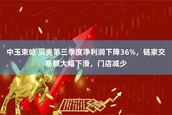 中玉束哈 贝壳第三季度净利润下降36%，链家交易额大幅下滑，门店减少