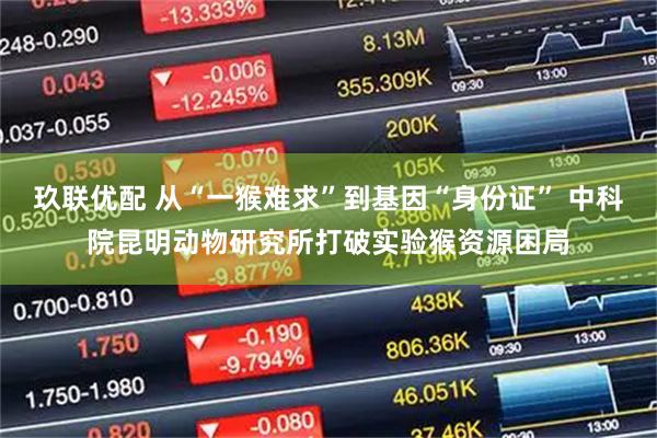 玖联优配 从“一猴难求”到基因“身份证” 中科院昆明动物研究所打破实验猴资源困局