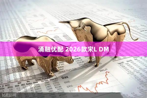 涌融优配 2026款宋L DM