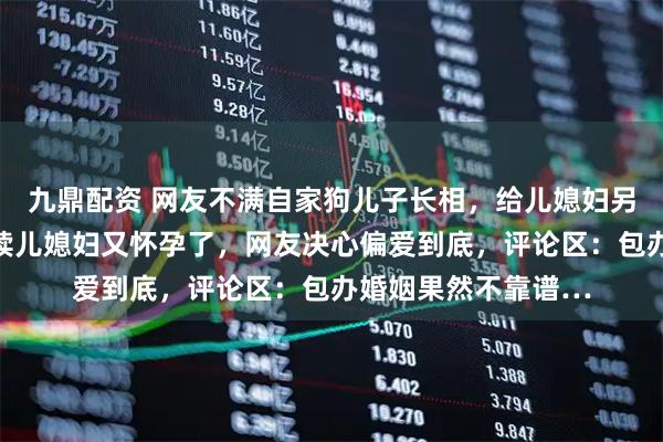 九鼎配资 网友不满自家狗儿子长相，给儿媳妇另找了个模子狗，后续儿媳妇又怀孕了，网友决心偏爱到底，评论区：包办婚姻果然不靠谱…